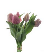 Tulp mix mauve/pink 31cm - (N-1769)