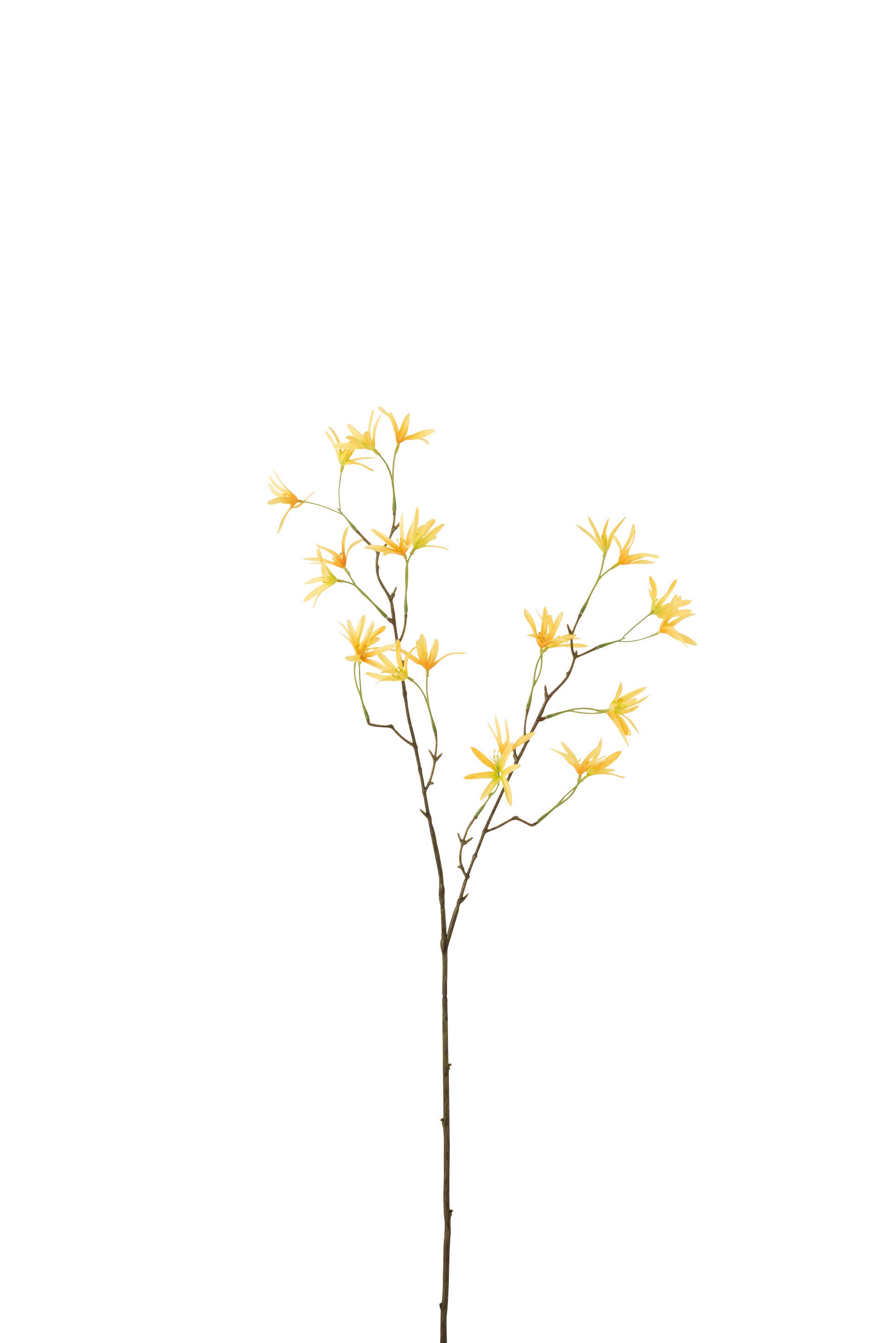 Branch Tweedia Plastic Yellow - (12434)