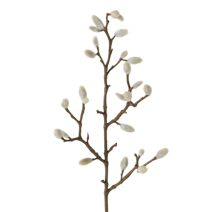 Wilgenkatjes - (BO-2077329)