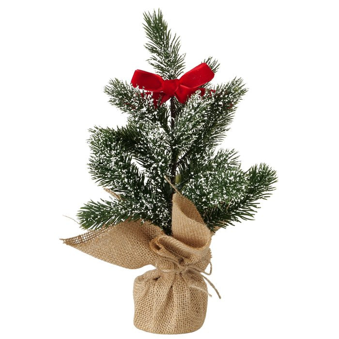 Denneboom 30cm - (BO-2085280)