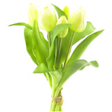 Tulp crème 31cm EX67 - (N-1002)