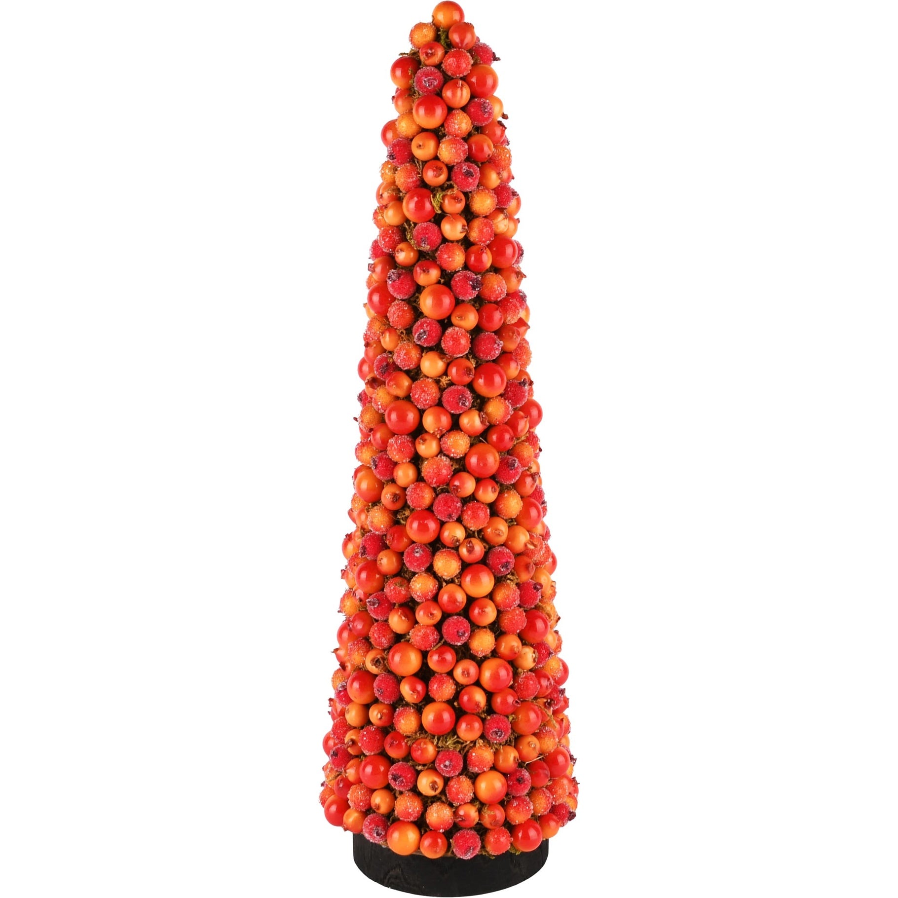 Coon Met Besjes - (Dt-245525)
