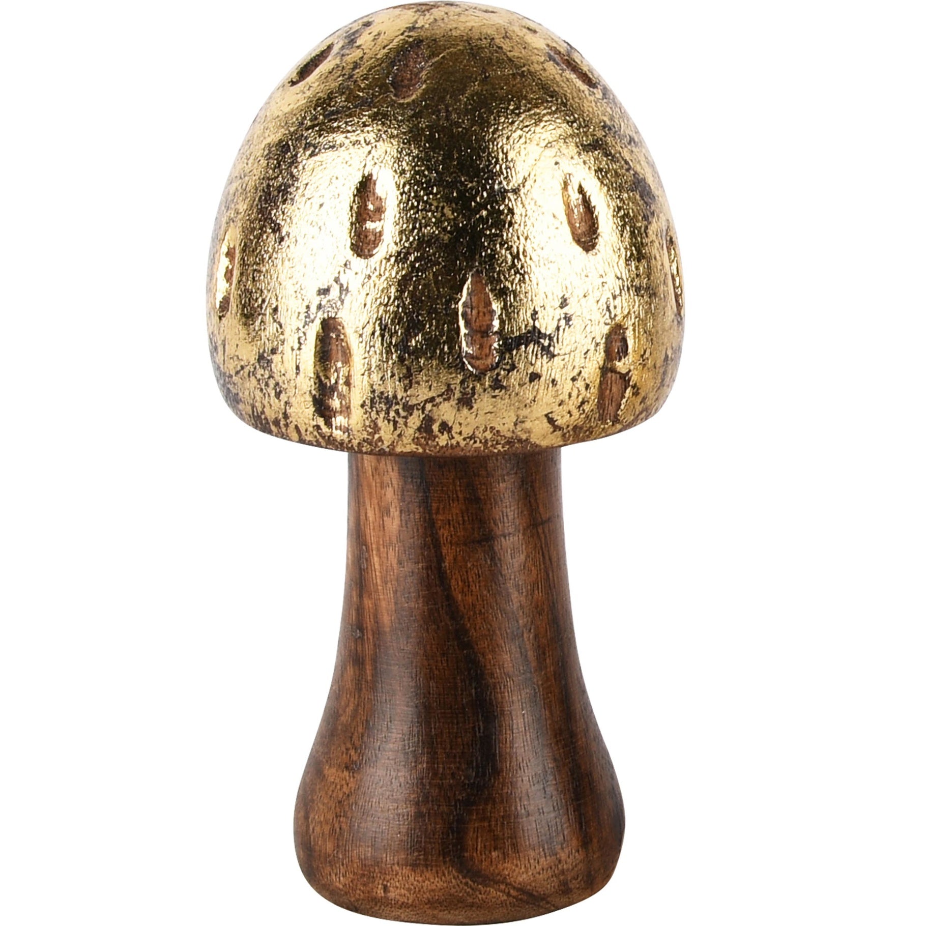 Paddenstoel Gold Blast - (Dt-248405)