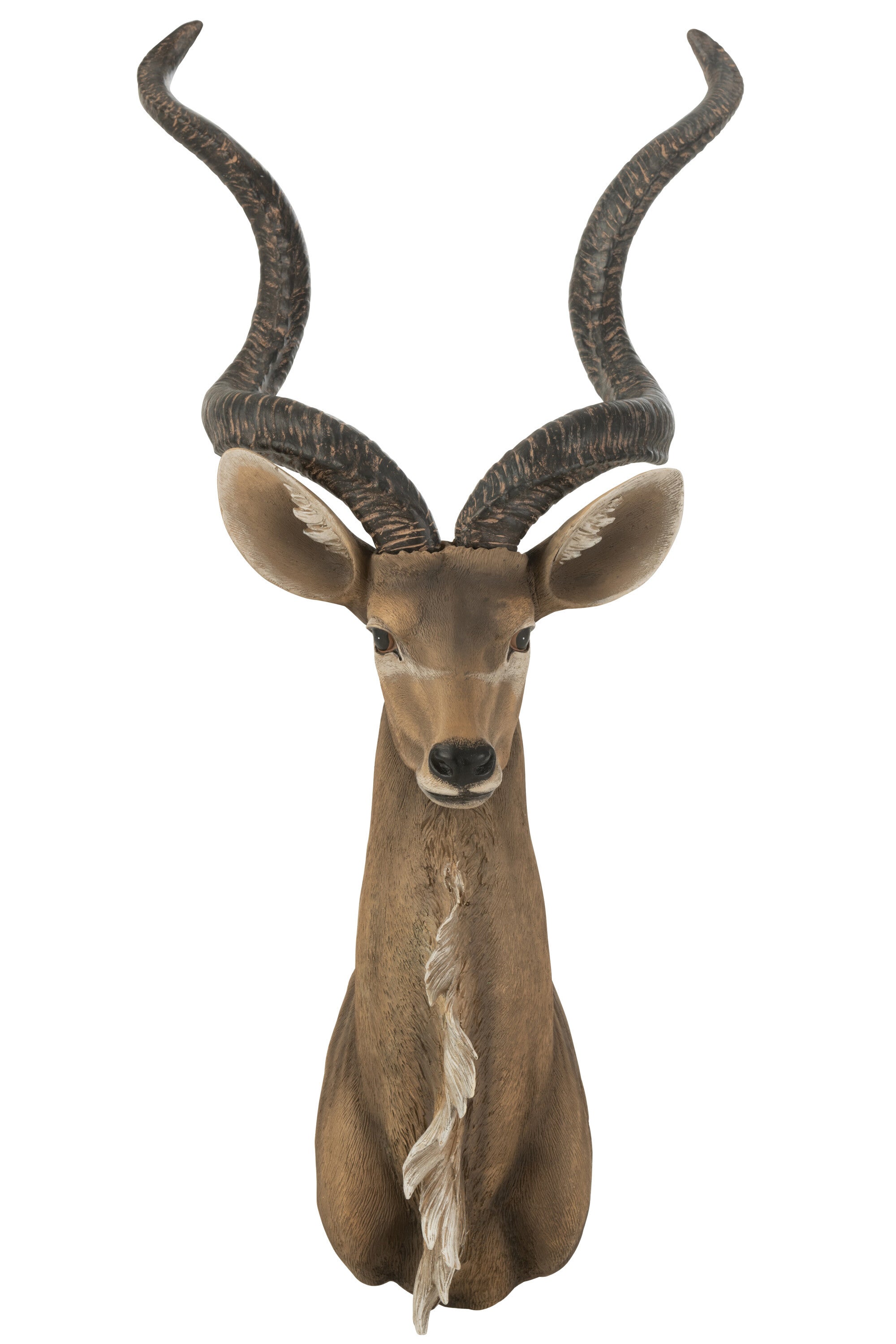 Antilope Kop Pol Bruin (50X47X85Cm) - (26547)