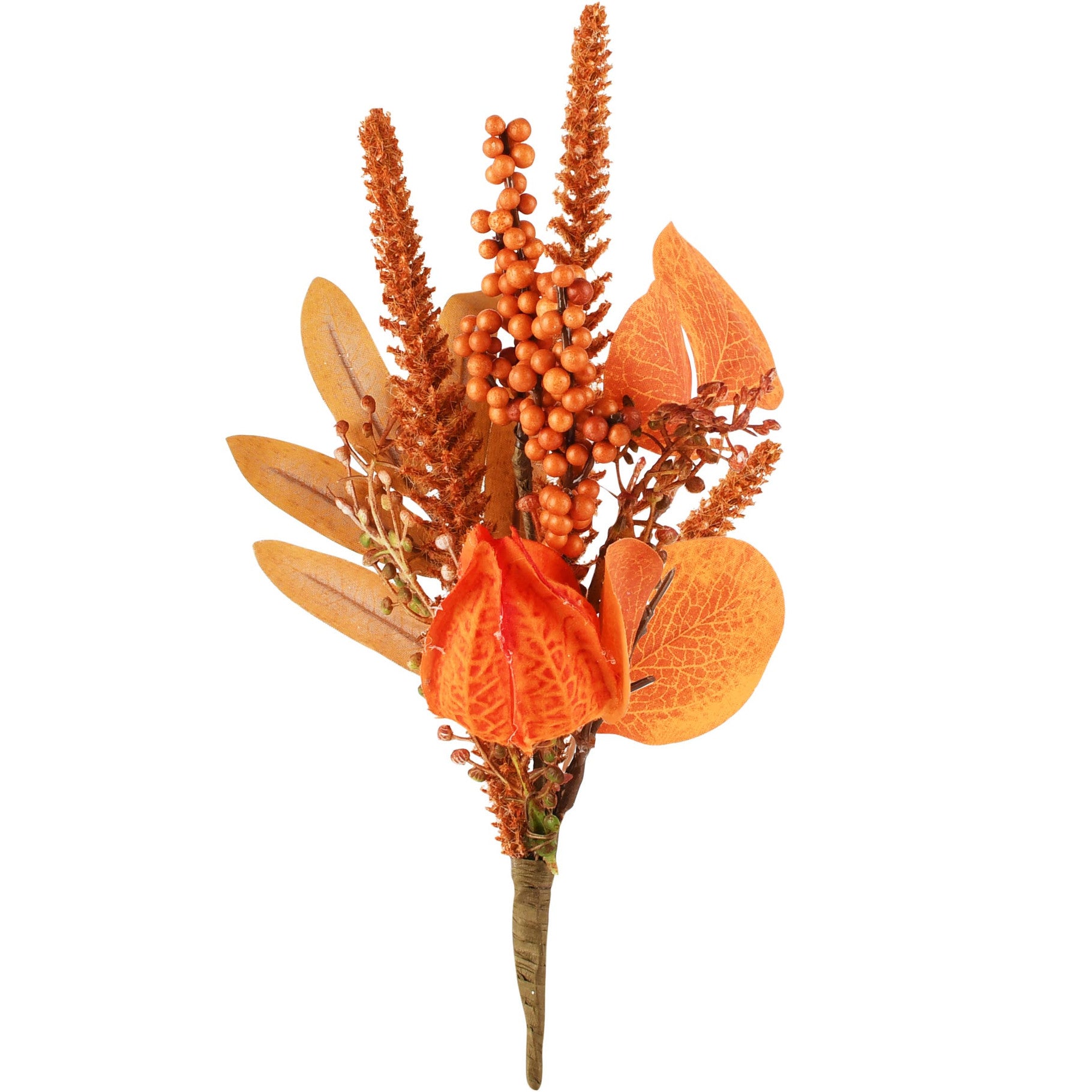 Herfsttakje - (Dt-265544)