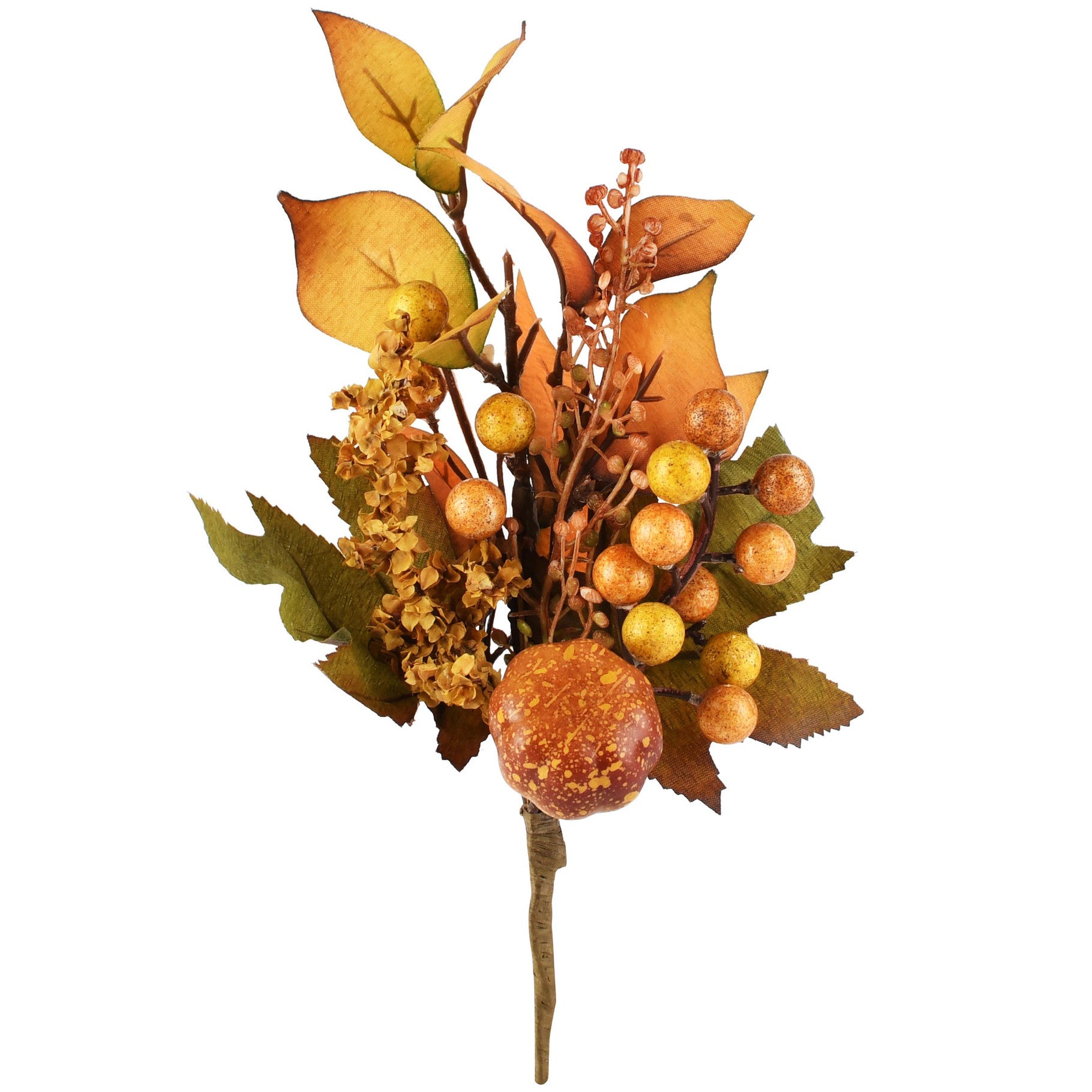 Herfsttakje - (Dt-265545)