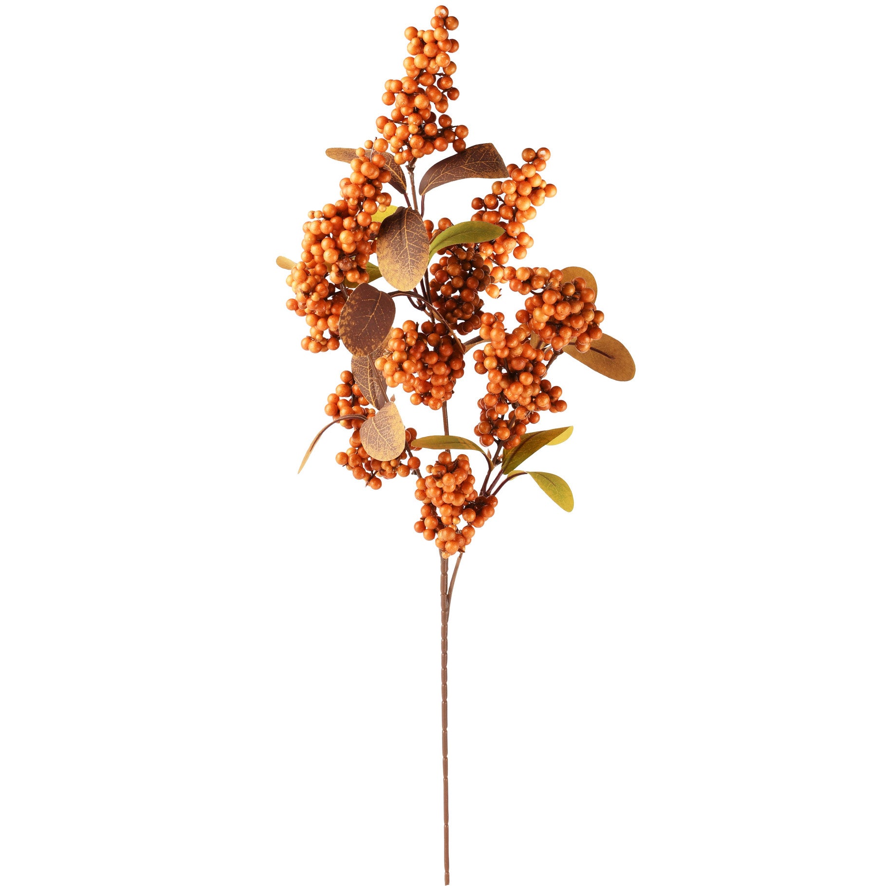 Herfsttakje Bes - (Dt-265546)