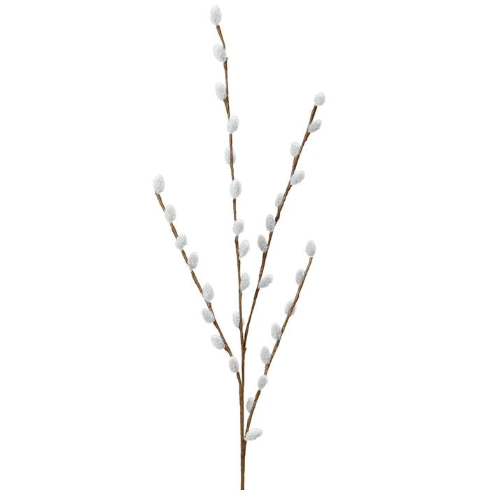 Wilgenkatjes - (BO-2850500)