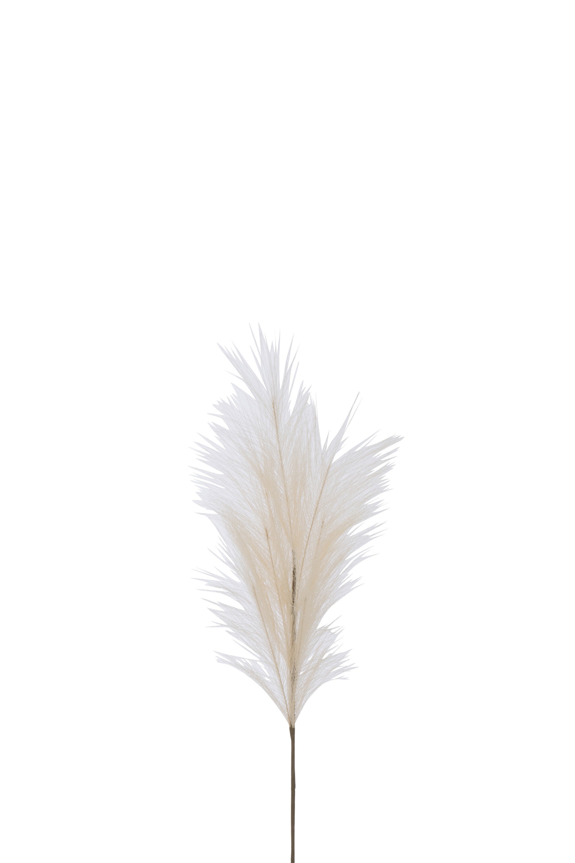 Pluimen Beige S  - (36963)