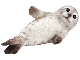 Zeehond - (CH-37561)