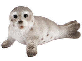 Zeehond - (CH-37563)