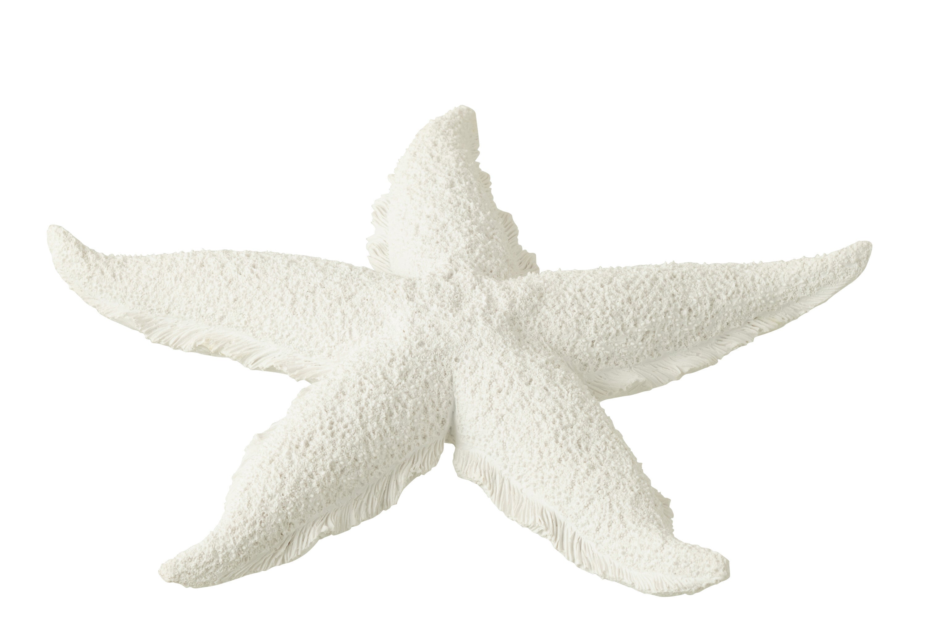 Etoile de mer en polyrésine blanche L - (40483)