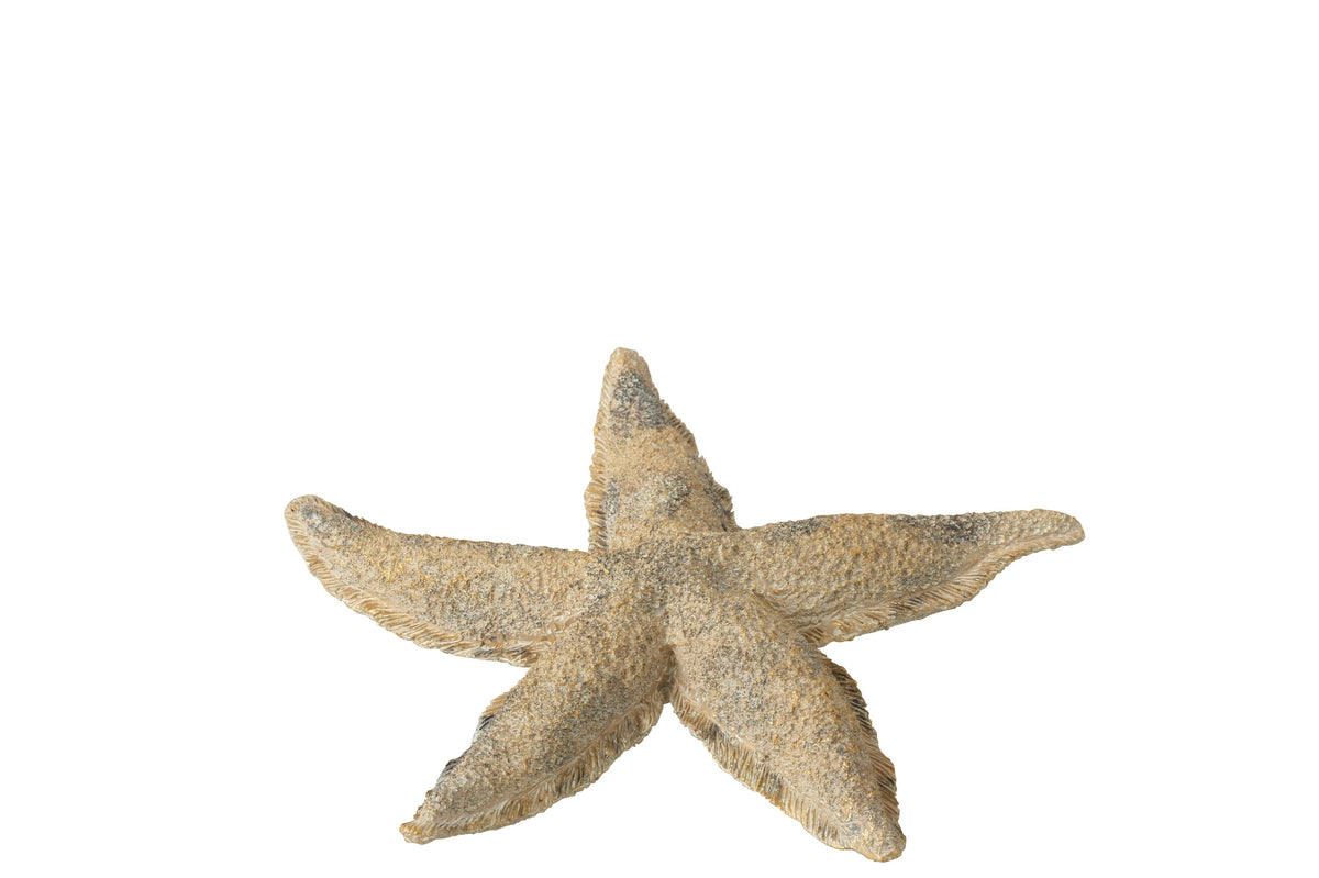 Étoile de mer en polyrésine brun/doré, petite - (40494)