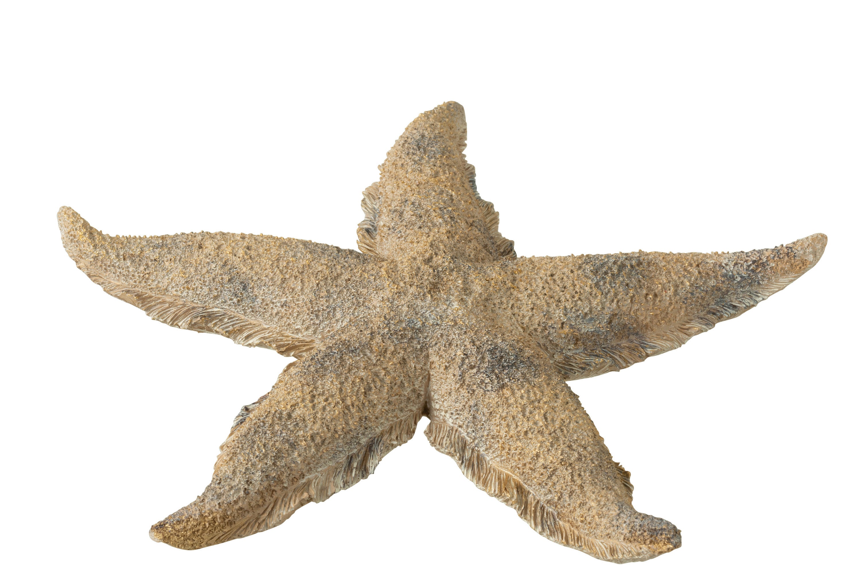 Starfish Polyresin Brown/Gold L - (40495)