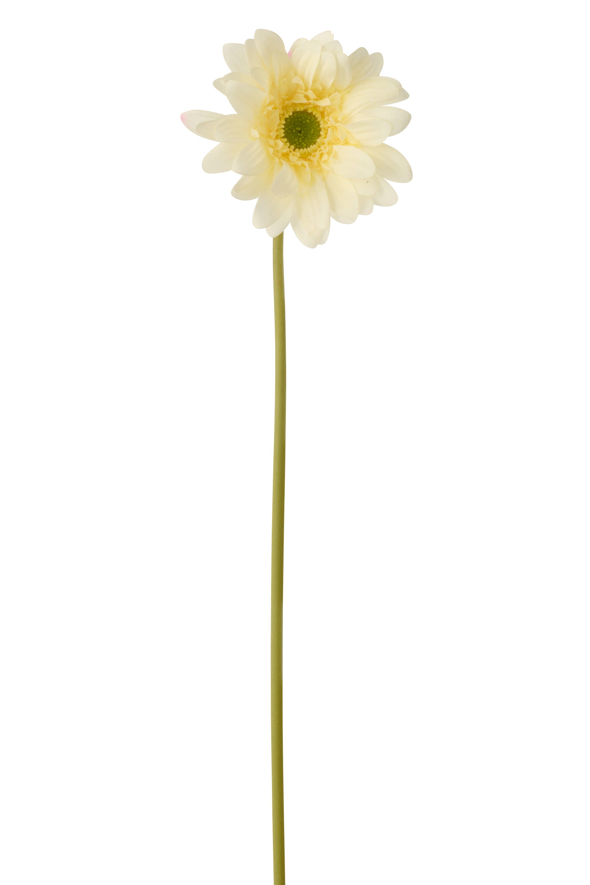 Gerbera Echt Gevoel Stof Ecru - (63791)