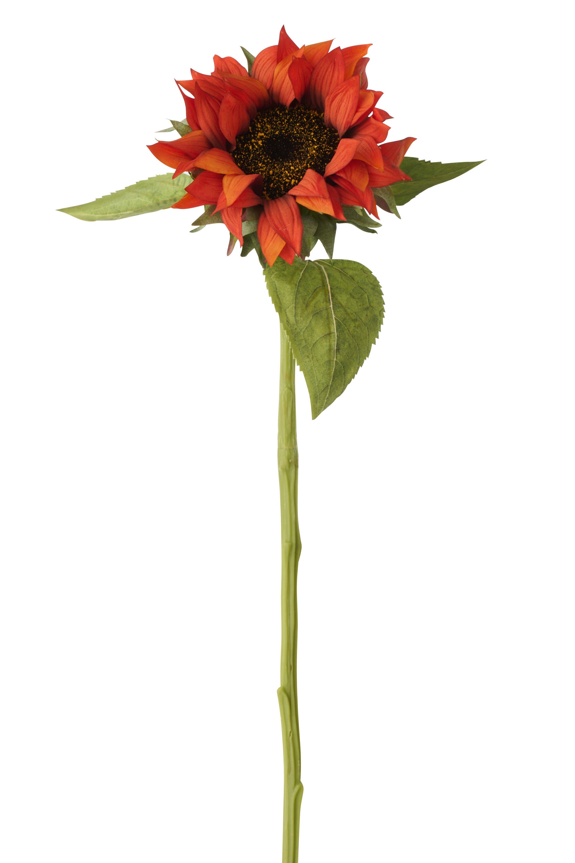 Zonnebloem Echt Gevoel Stof Terracotta - (63803)