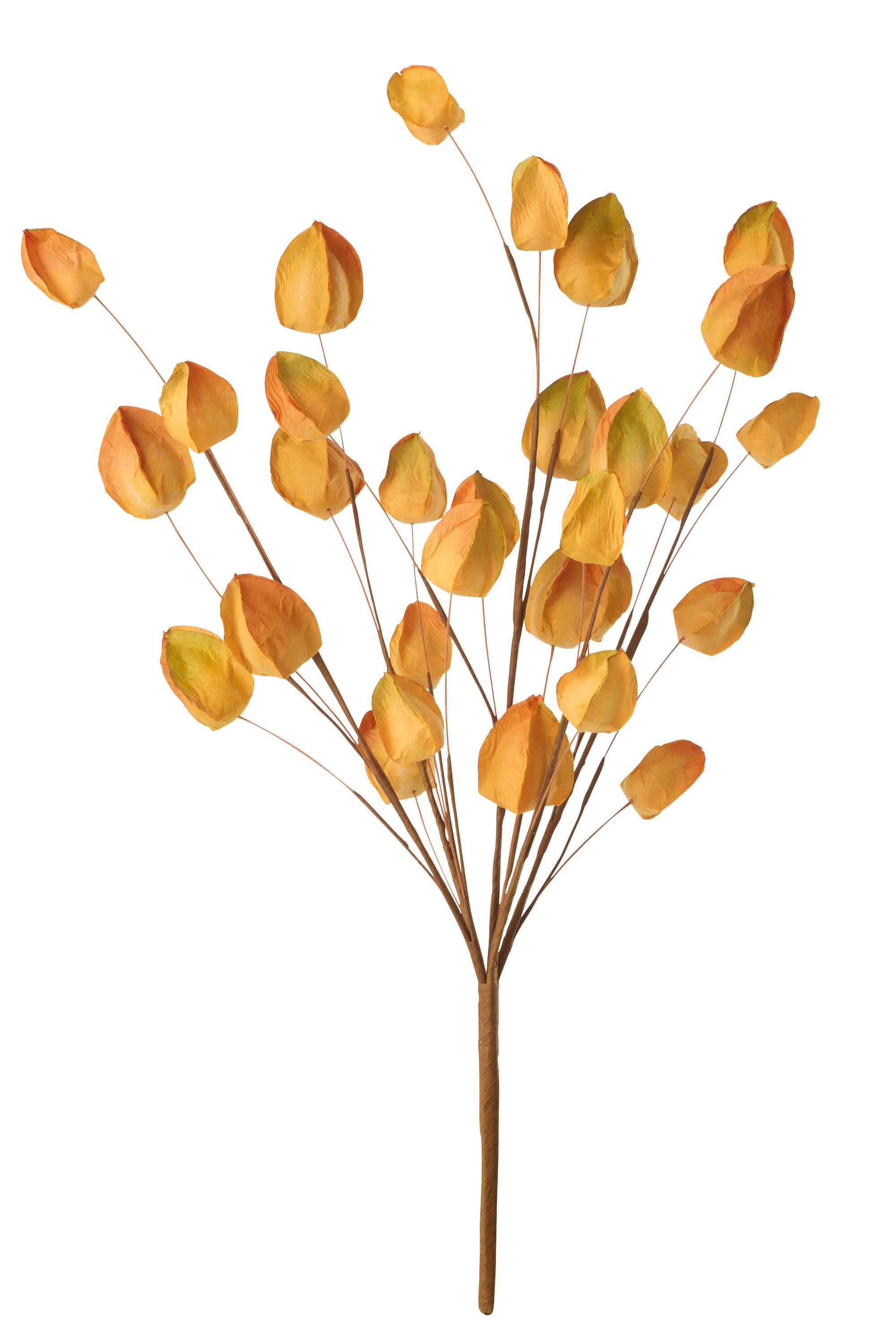 Gouden Bes Papier Warmgeel - (63808)