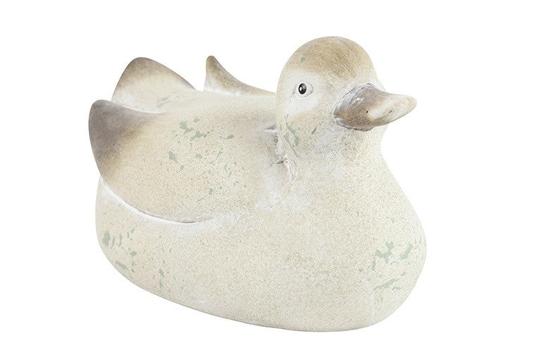 Duck Dagobert L - (DS-802484)