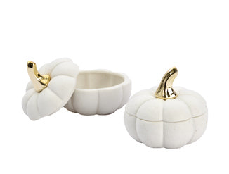 Pot pompoen crème S - (CH-44261)