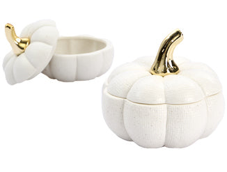 Pot pompoen crème L - (CH-44262)