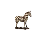 Zebra Poly White/Black Small