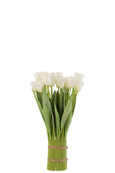 Tulips In Bundle Pl White/Green - (12485)