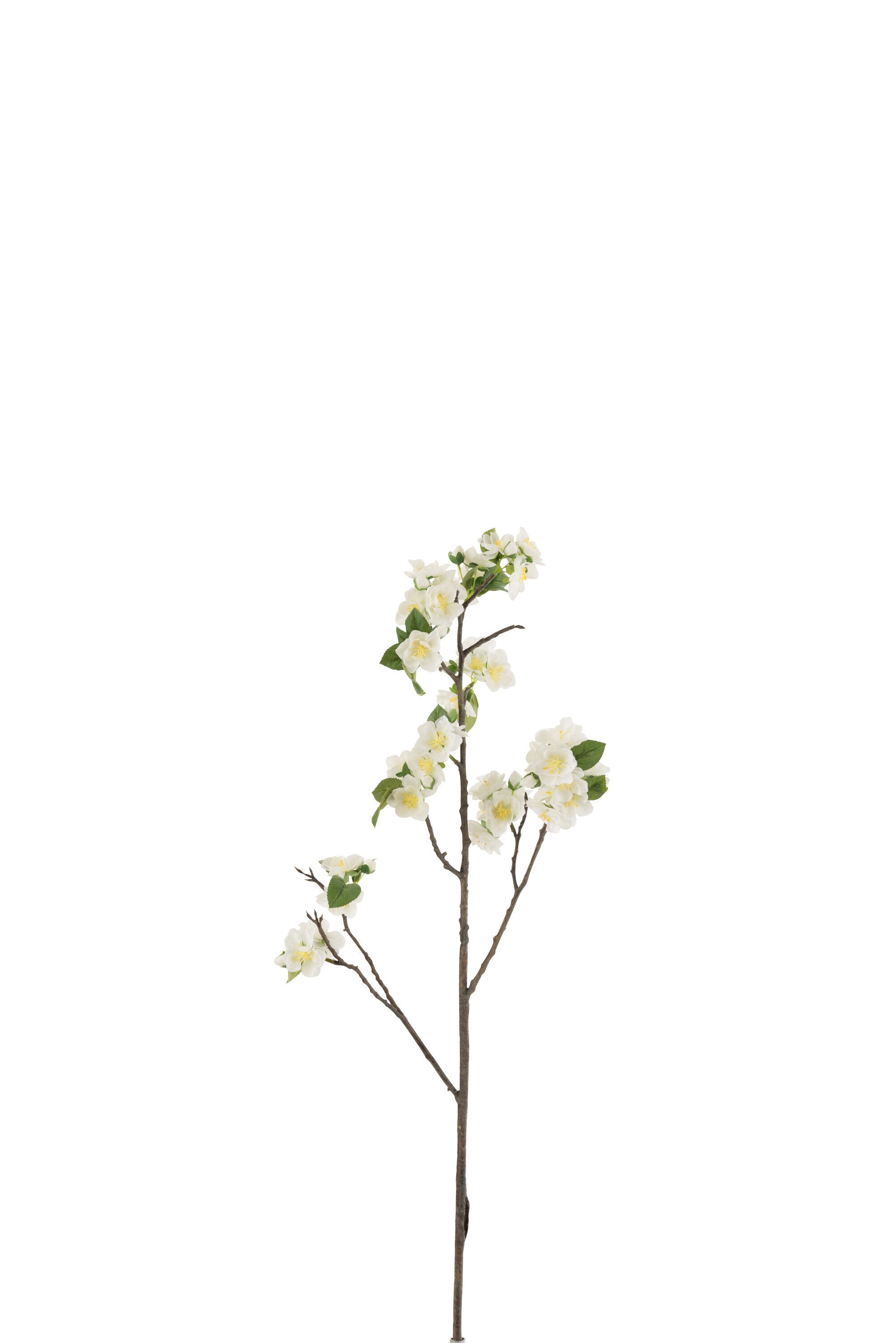 Blossom Branch Plastic White/Brown Small 