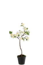 Blossom Tree Plastic White/Brown Small