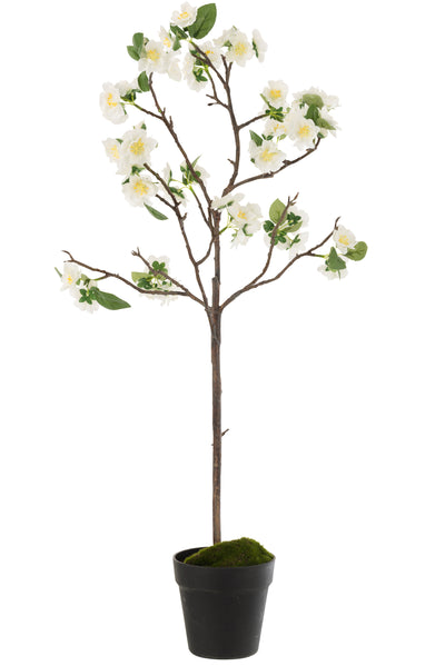 Blossom Tree Plastique Blanc/Marron Moyen