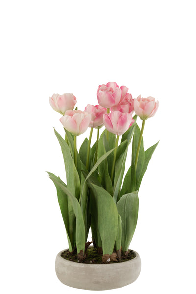 Tulips In Pot Cement Grey Plastic Pink/Green - (12500)