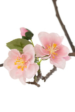Blossom Tree Plastic Pink/Brown Medium - (12504)