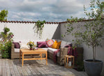 Ninja Lounge Beige