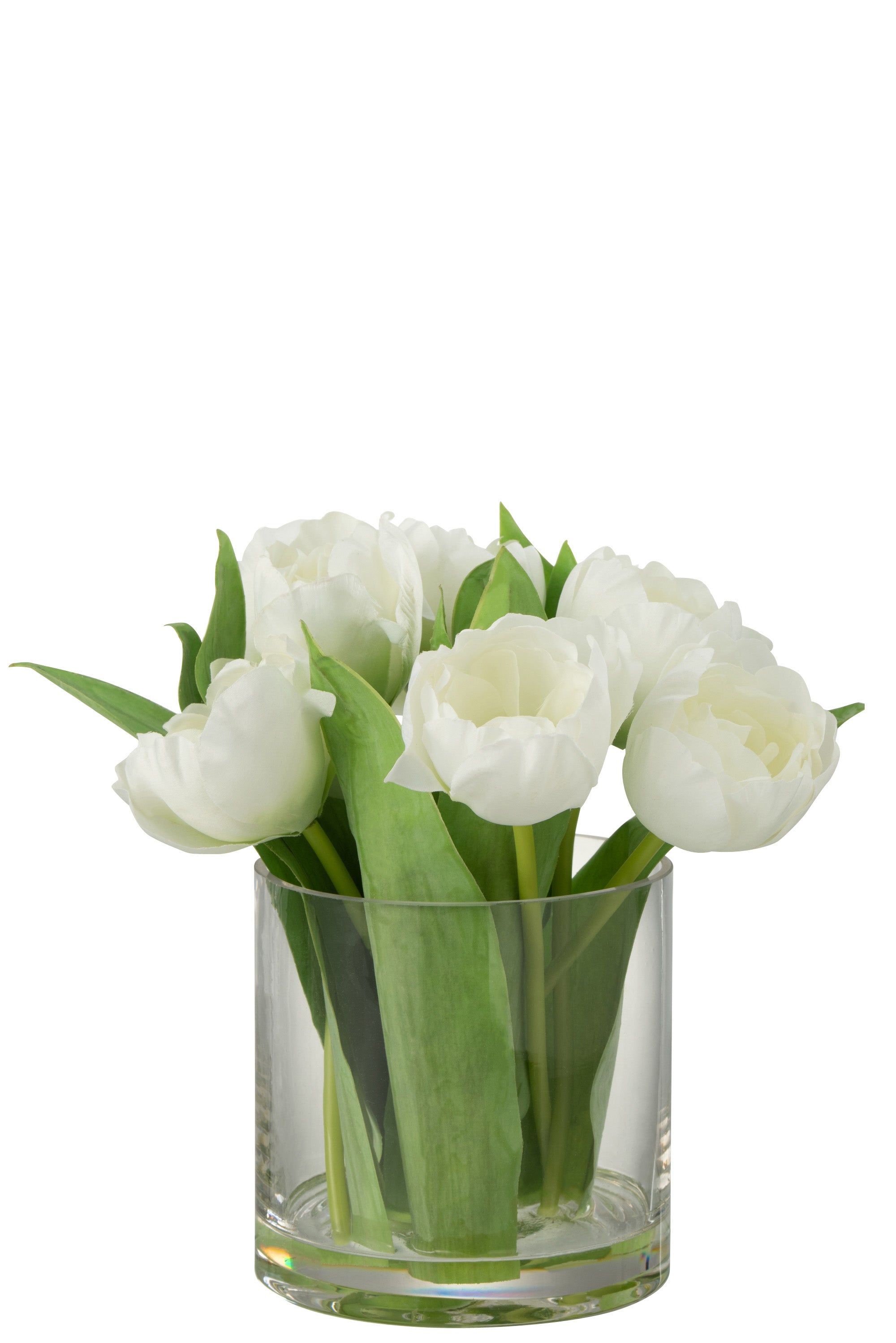 Tulip In Vase Rnd Pl Glass White Large - (22401)