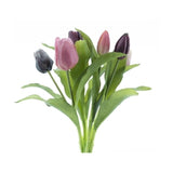 Tulp mix donker 31cm EX62 - (N-913)