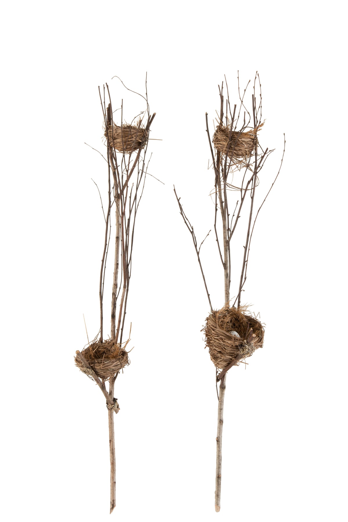 Zweig mit Nest Gras/Zweige Natur - (2881)