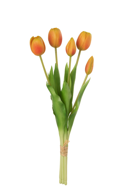 Boek Tulpen 5Stuks Pu Oranje M  - (32916)