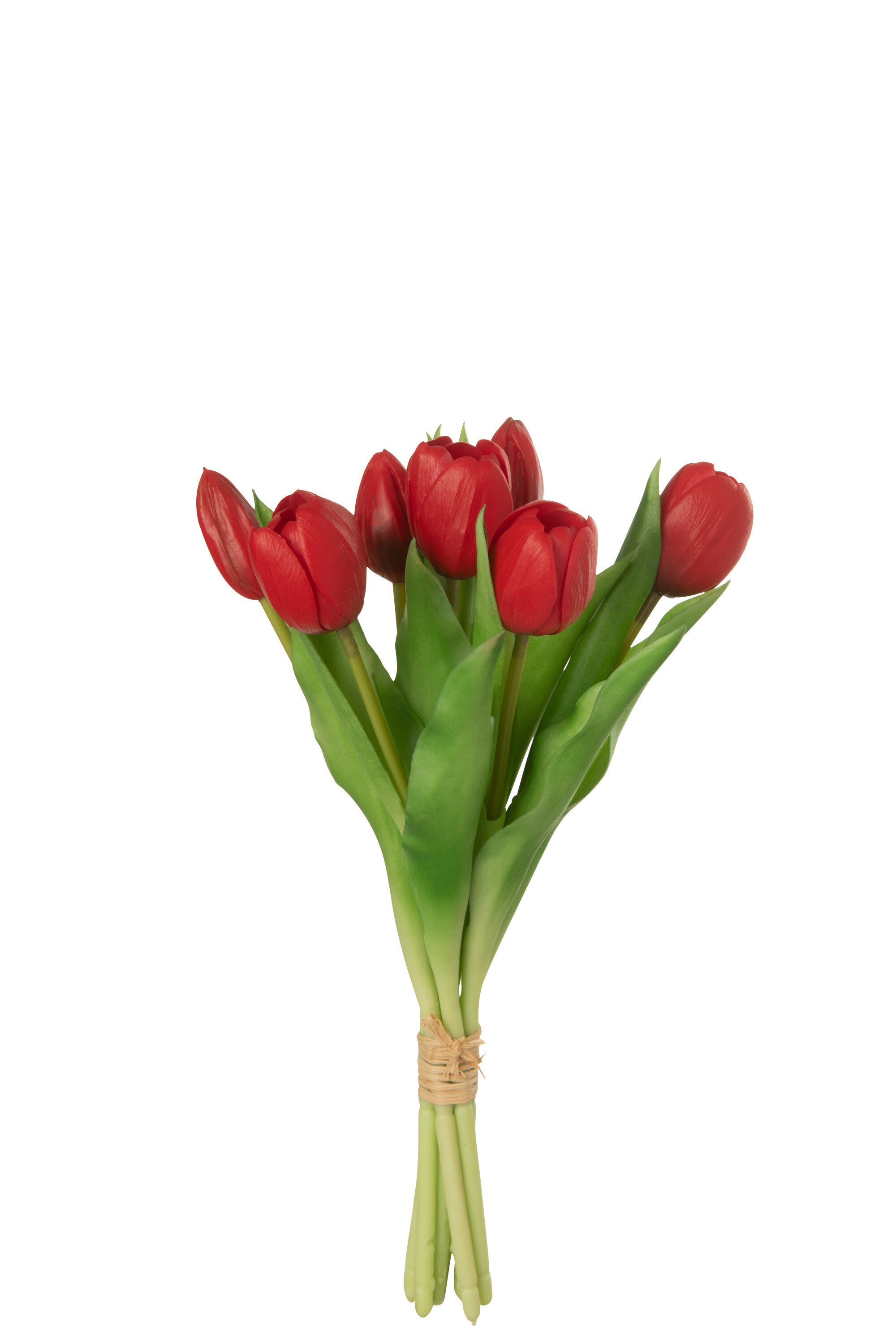 Boeket Tulp 7St Pu Rood S (12.5X9X31.5Cm) - (32918)