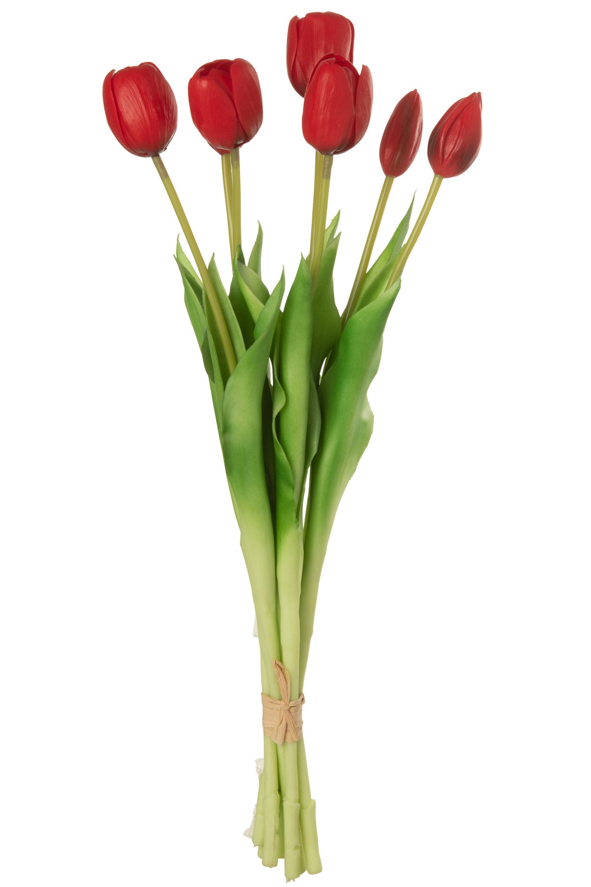 Blumenstrauß Tulpe 7St Pu Rot L (16.5X10X45.5Cm) - (32920)