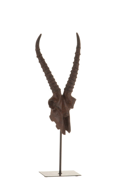 Crâne d'antilope sur socle en résine marron - (76157)