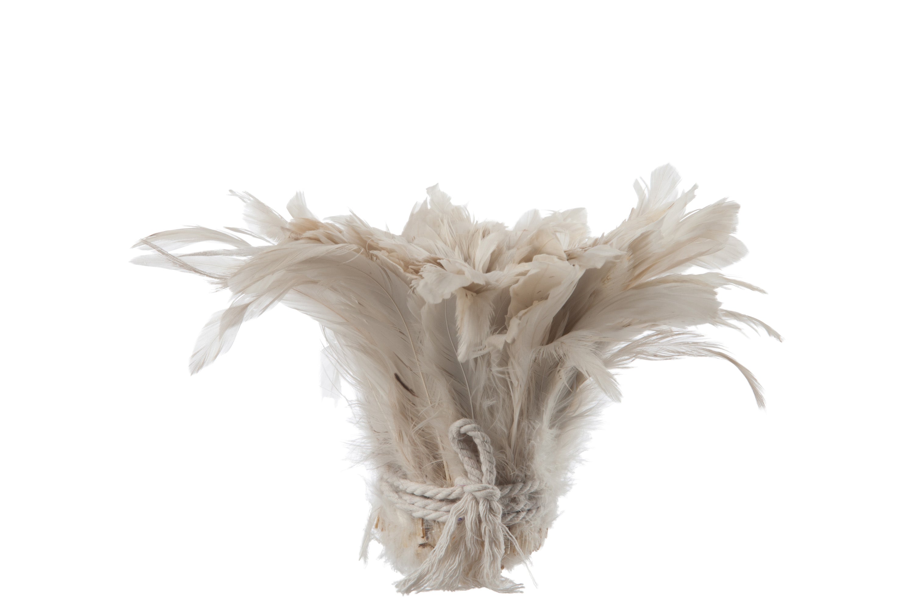 Paquet de plumes courtes Coq Beige - (78190)