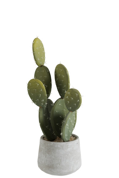 Cactus+Pot Green/Cement Small