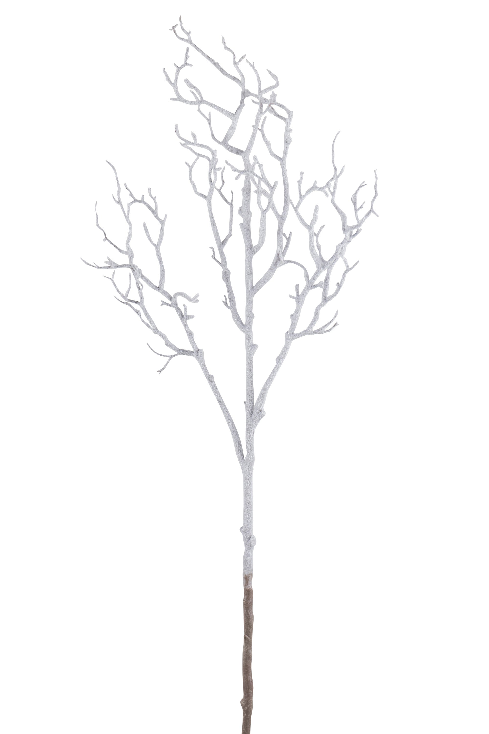 Branch Bald Tree Plastic Snowed - (87396)