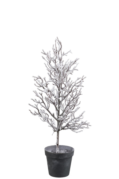 Tree Bare Plastic Snowy White - (87397)
