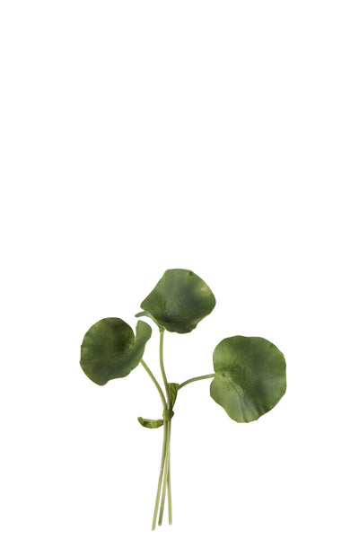 Paquet de feuilles de lotus en plastique vert