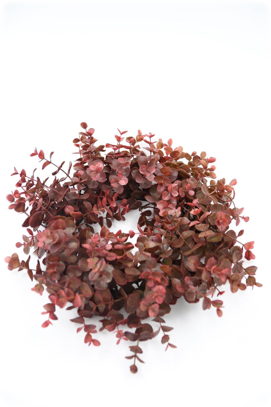 Eucalyptus Wreath Red