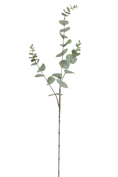 Branche d'eucalyptus contrefaite