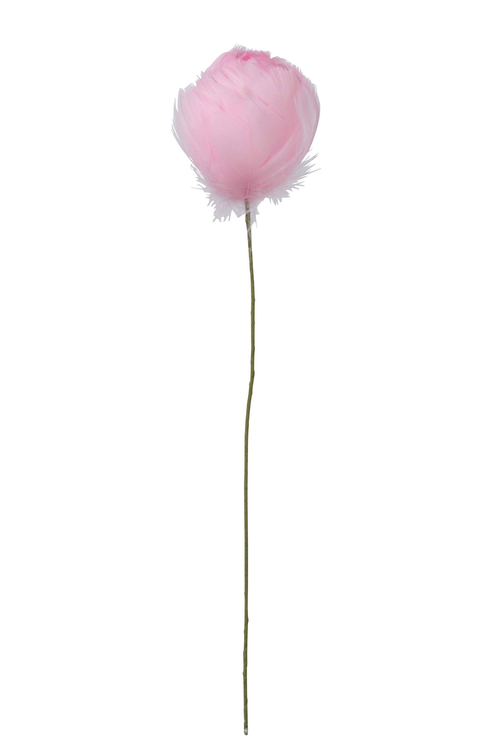 Tulip Feathers Pink