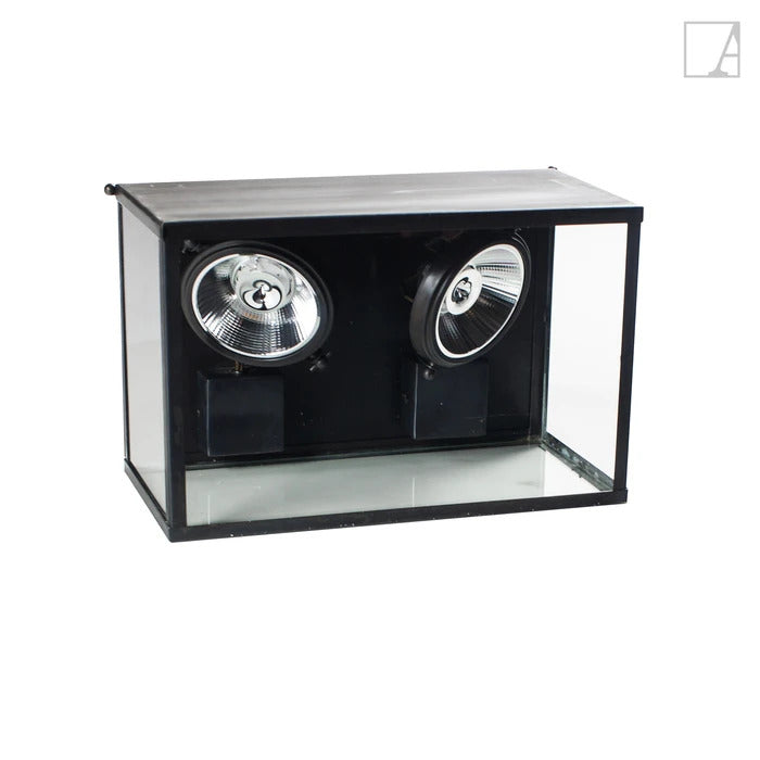 Authentage Display Case Wall Centonze 2L Horizontal - 34 X 22 Cm 